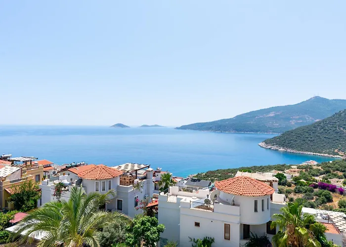 Haziran Kalkan