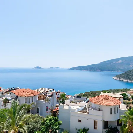 Haziran Kalkan